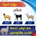 ذبايح للبيع