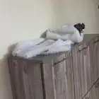 كنب