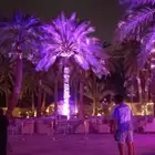 تأخير وتركيب أضاءت