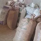 تمر نفيع للبيع