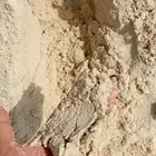 بطحاء الرياض