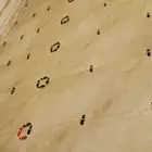 مبلط بلاط  شان  عبدالمج د