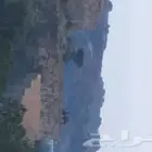 شقق اجنحة عامر مفروشه