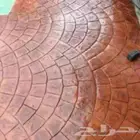 صبحه مروحة صبحه ستم صبحه ميزانيه بوكسي