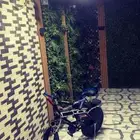 سيكال