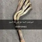 هدرز اربي حق التيما
