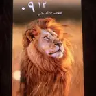 ان فنكس جي تي 20بروا