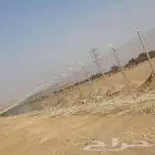 مقولات شبوك زرعيه شبوك ملاعب شبوك محمايت
