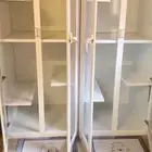 فندقه قطط