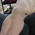 بتسافر