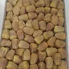 تمر سكري مفتل جديد السنة