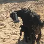 عنز عارضيه