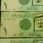فلوس تقسيمات أوليه

