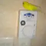 فرخ بادجي أليف 