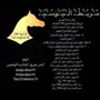 تدريب ركوب الخيل 