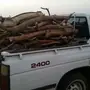 للبيع حطب ارطاء وس م ر حملة ددسن غمارتين