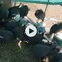 دجاج حبش 