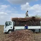 دينه تحميل اعلاف اغنام حلي القوز البرك