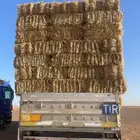 تبن قمح جندير