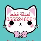 فندقة ابو الجوري للقطط والطيور المنزليه