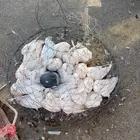 حمام فرنسي