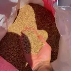 حنطة ( قمح نجراني فاخر )