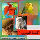 حيوانات