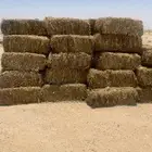 اعلاف للبيع تبن