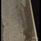 عسل طلح