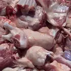 ذبايح ابو مشعل