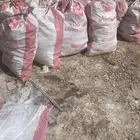 علف عجين ناشف سمبوسة