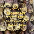 تمر برني العيص