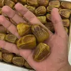 نوادر سكري القصيم