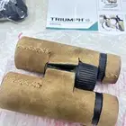 دربيل