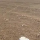 ارض للبيع طيبة الفرعيه حي الندى 600