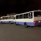 باصات لنقل الحجاج داخل مكه وخارجها مكيفه سواقين ذو خبره