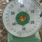 ديك رومي