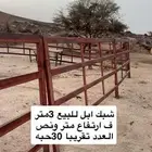 شبك ابل للبيع نضيف