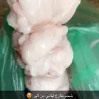 ذبايح حريه من البر الذبح والتوصيل الى منزلك