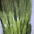 مرخ سلع جيزاني طازج أحجار مضبي