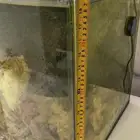 حوض سمك كبير
