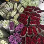 ورد بالجمله 27 ريال 10