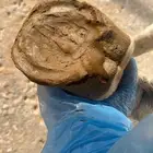 خلطه ليونه وسوسه حافر الخيل