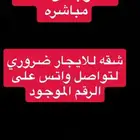 مطلوب شقه عاجل في العزيزيه