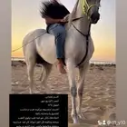 حصان شعبي كفو