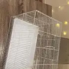قفص عصافير شبه جديد