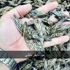 عود التايجر الفيتنامي عود تايقر فيتنامي نخب اول (ملكي