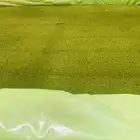ازولا لتعليف جميع الحيوانات