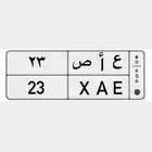 لوحة مميزة ونادره 23