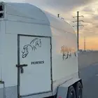 عربه نقل خيل